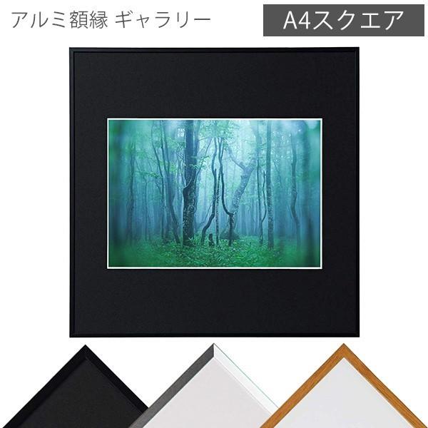 受発注商品 ケンコー・トキナー アルミ額縁 ギャラリー A4 受発注商品 ケンコー・トキナー アルミ額縁 ギャラリー A4
