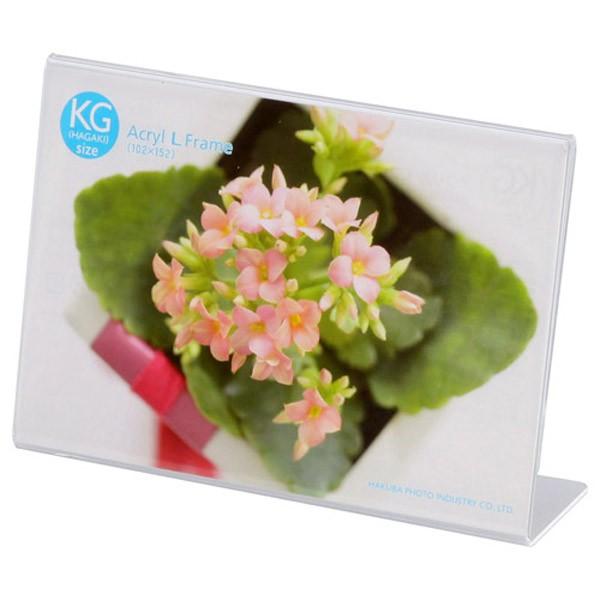 KGE͂ ʐ^āEANt[  nNo ANLt[ KGinKLjTCY 1ʁiRj FACL-KGY