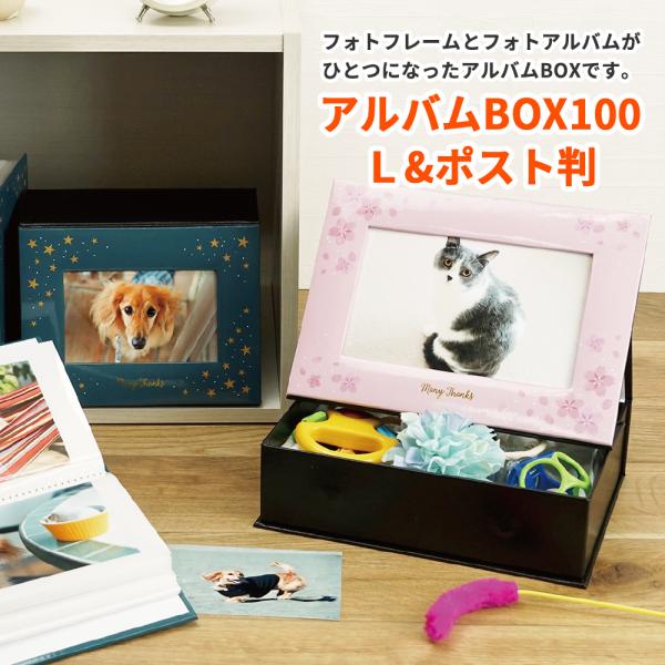 Vanjoh アルバムbox100 2l判 星 100枚収納 2008