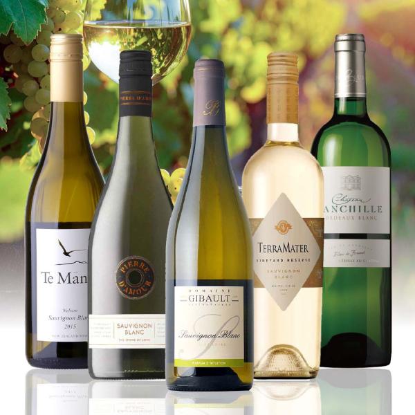 WEB限定 世界のソーヴィニヨン・ブランセット 第7弾 ワイン wine