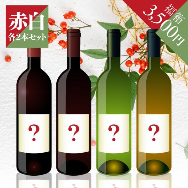 選んでワクワク！開けてドキドキ！新年を華やかに彩る蔵直(R)ワインが計4本入った、初売り福箱！チリの完熟ぶどうから造られる果実味たっぷり赤や、果実味に程よいスパイスの風味が絶妙のオーストラリア赤、そしてフランスの実力派蔵元が造るうま得白まで...