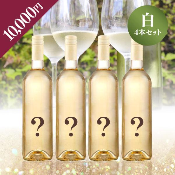 2025年末お楽しみBOX 10,000円 白4本 白ワイン ワインセット 白ワイン