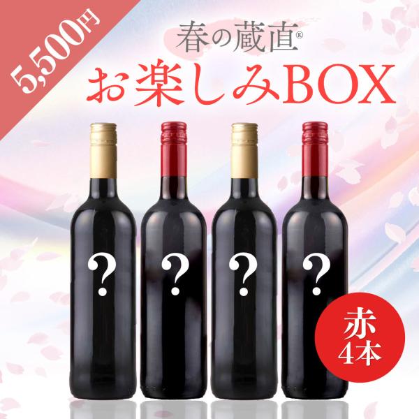 冬のお楽しみBOX 5500円 赤4本 ワイン 赤ワイン ワインセット 飲み比べ
