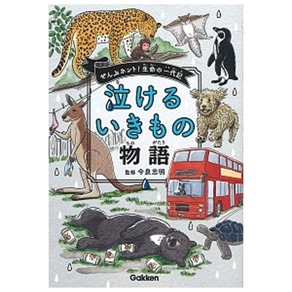 著者名：今泉忠明出版社名：Ｇａｋｋｅｎ発売日：2019年06月04日商品状態：非常に良い※商品状態詳細は商品説明をご確認ください。