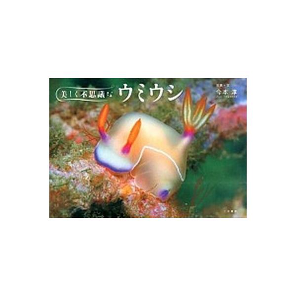 美しく不思議なウミウシ/二見書房/今本淳（単行本） 中古