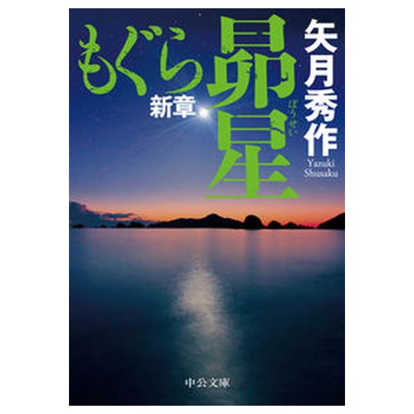 著者名：矢月秀作出版社名：中央公論新社発売日：2023年01月25日商品状態：非常に良い※商品状態詳細は商品説明をご確認ください。