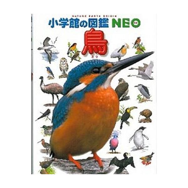 著者名：柚木修、上田恵介出版社名：小学館発売日：2002年11月20日商品状態：良い※商品状態詳細は商品説明をご確認ください。