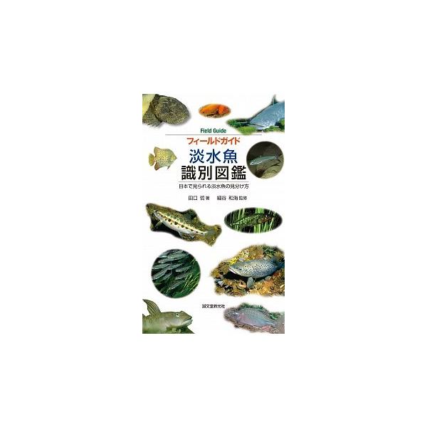 フィ-ルドガイド淡水魚識別図鑑 日本で見られる淡水魚の見分け方/誠文堂新光社/田口哲（単行本） 中古