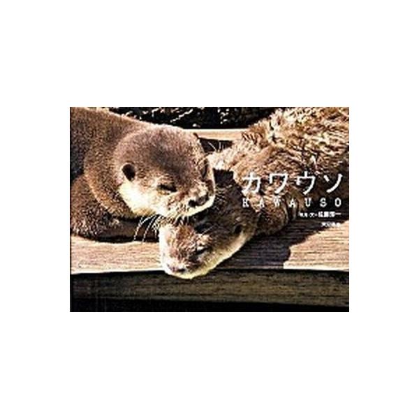 カワウソ/東京書籍/佐藤淳一（単行本（ソフトカバー）） 中古
