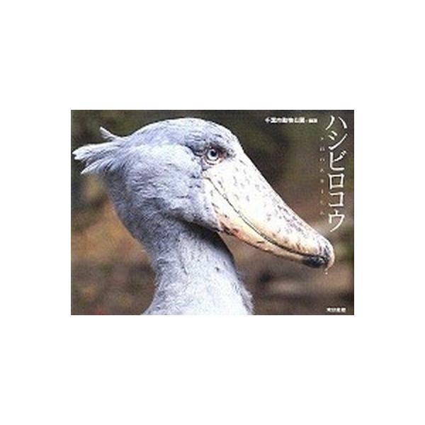 ハシビロコウの価格と最安値 おすすめ通販を激安で