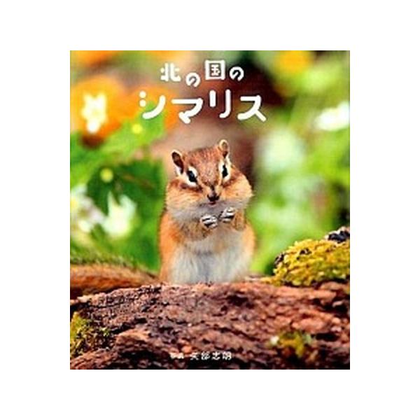北の国のシマリス/パイインタ-ナショナル/矢部志朗（単行本（ソフトカバー）） 中古