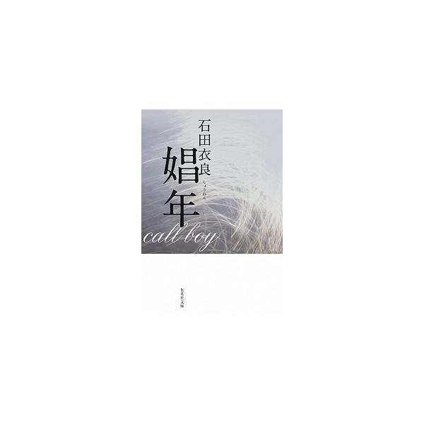 著者名：石田衣良出版社名：集英社発売日：2004年05月25日商品状態：非常に良い※商品状態詳細は商品説明をご確認ください。