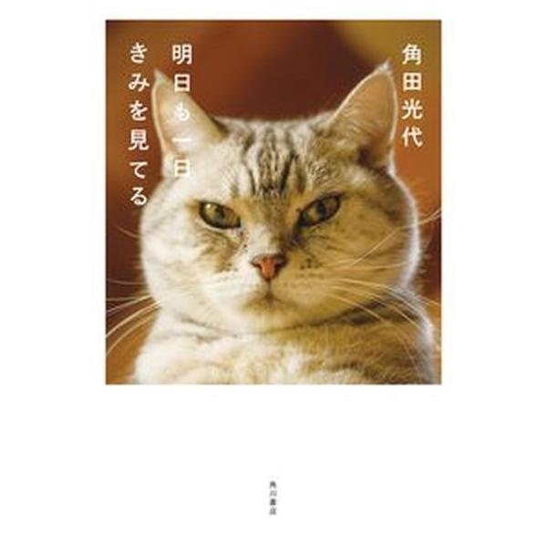 明日も一日きみを見てる/ＫＡＤＯＫＡＷＡ/角田光代（単行本） 中古