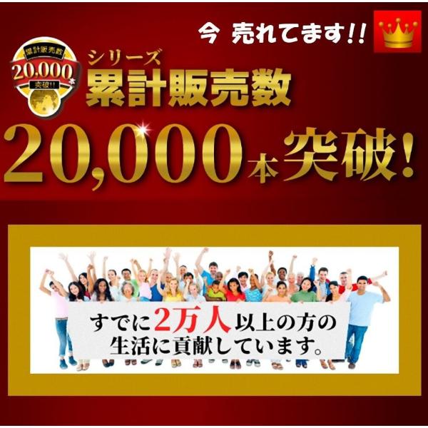 Cat6a 屋外用 Lanケーブル 10m 2重被覆 Poe対応 ツメの折れないコネクタ付 難燃性 耐候性 Buyee Buyee Japanese Proxy Service Buy From Japan Bot Online