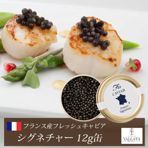 フランス産フレッシュキャビア シグネチャー 12g缶 キャビア 高級 高級食材 おすすめ 美味しい おつまみ 前菜  本物 輸入食材 お取り寄せ 三大珍味
