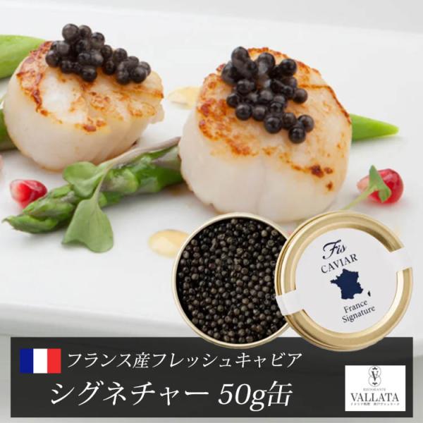 フランス産フレッシュキャビア シグネチャー 50g缶 キャビア 高級 高級食材 おすすめ 美味しい おつまみ 前菜  本物 輸入食材 お取り寄せ 三大珍味