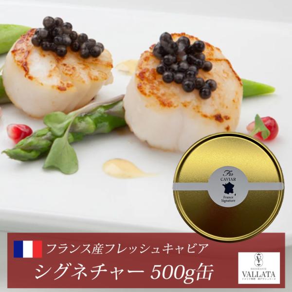 フランス産フレッシュキャビア シグネチャー 500g缶 オープナー シェルスプーン付 キャビア 高級 高級食材 おつまみ 前菜  本物 輸入食材 お取り寄せ 三大珍味