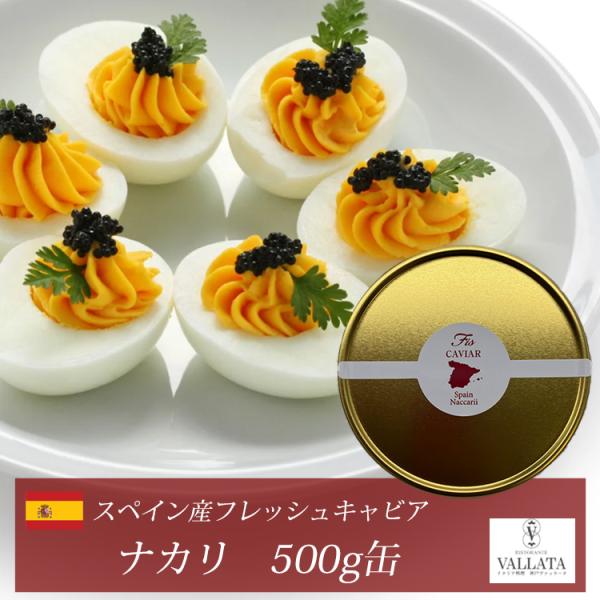 スペイン産フレッシュキャビア ナカリ 500g缶 オープナー シェルスプーン付 キャビア 高級 高級食材 おつまみ 前菜  本物 輸入食材 お取り寄せ 三大珍味