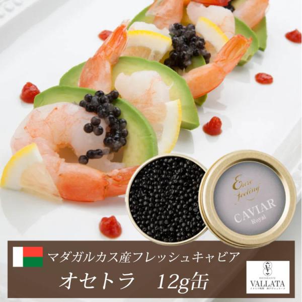 マダガスカル産フレッシュキャビア オセトラ 12g缶 キャビア 高級 高級食材 おすすめ 美味しい おつまみ 前菜  本物 輸入食材 お取り寄せ 三大珍味