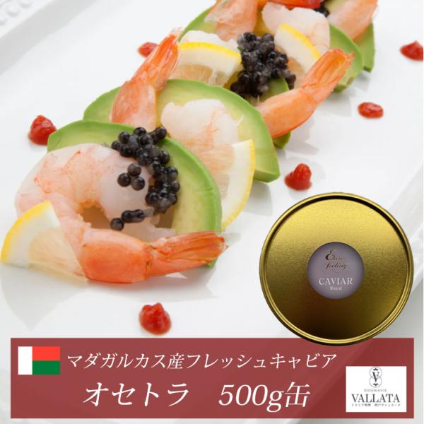マダガスカル産フレッシュキャビア オセトラ 500g缶 オープナー シェルスプーン付 キャビア 高級 高級食材 おつまみ 前菜  本物 輸入食材 お取り寄せ 三大珍味