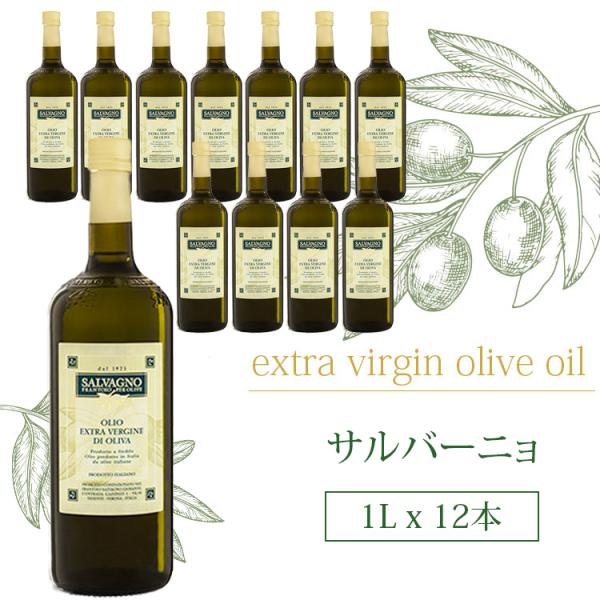 送料無料 サルバーニョ エキストラバージン オリーブオイル 1Lｘ12本 SALVAGNO  イタリア ベローナ産 EXVオイル 1000ml おまとめ買い 大容量 業務用