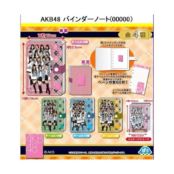 AKB48 バインダーノート 3種セット チームA、B、4の3種です