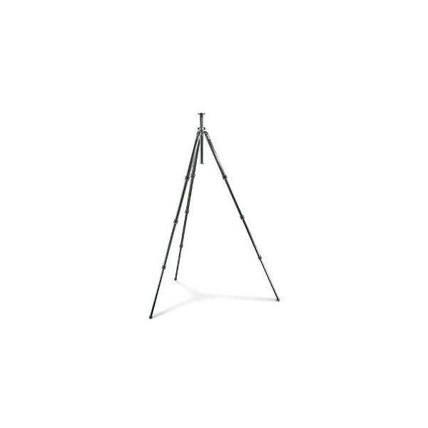 Gitzo ジッツオ GT2941L Series 2 G-Lock Basalt Tripod 三脚