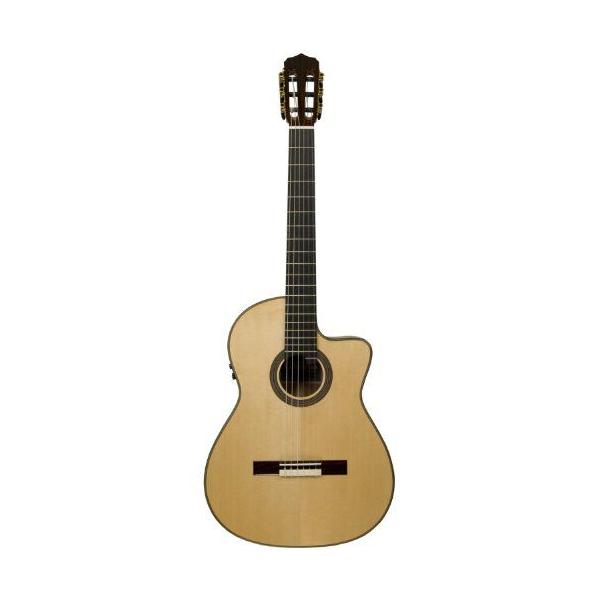 Cordoba コルドバ Fusion 12 Maple Classical Guitar アコースティック 
