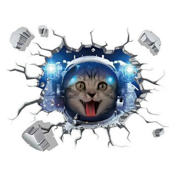 ウォールステッカー 動物 猫 子供部屋 宇宙 ねこ ネコ 黒猫 かわいい 男の子 女の子 カフェ モダン 子供 ウォールシール Cat 玄関 面白い Vr Vr Value Deco Park 通販 Yahoo ショッピング