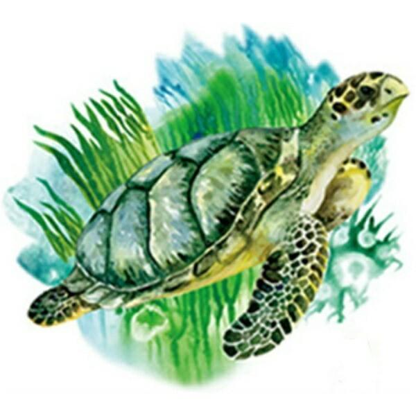 ウォールステッカー 動物 海 子供部屋 ビーチ おしゃれ 南国 亀 窓 トリックアート 3d 背景 砂浜 海岸 浜辺 夏 魚 ハワイ インテリア 壁紙 トイレ Vr Vr Value Deco Park 通販 Yahoo ショッピング