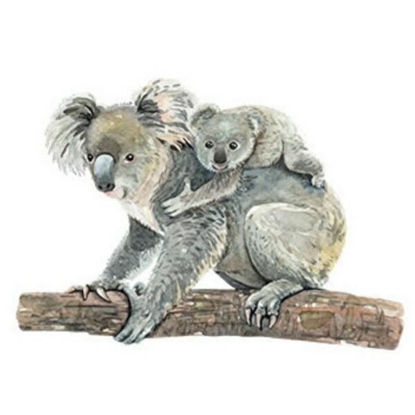 ウォールステッカー 動物 子供部屋 おしゃれ コアラ 南国 窓 かわいい 背景 木 植物 インテリア 雑貨 壁紙 風呂 トイレ 小さい 床 リゾート ジャングル Vr Vr Value Deco Park 通販 Yahoo ショッピング