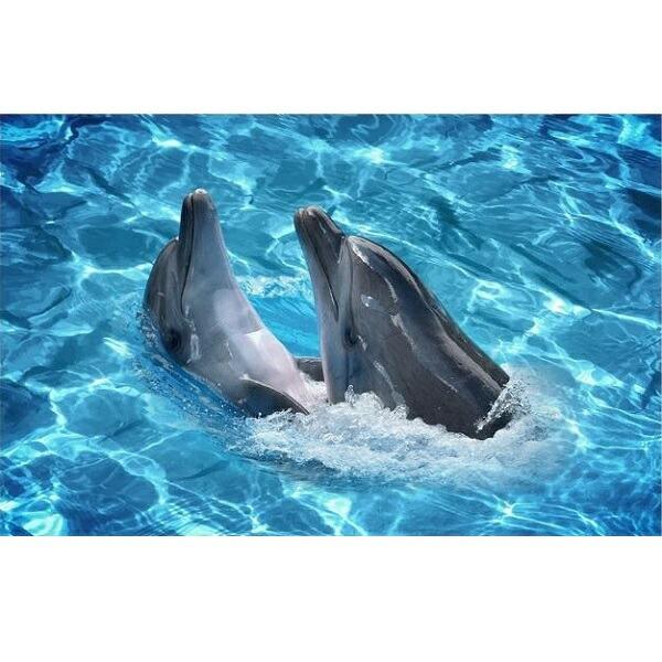 ■シール式のウォールステッカー です。■台紙から取り外し、簡単に貼っていただけます。■シールタイプですのでＤＩＹが初めてのお客様も楽しく安全に貼っていただけます。■シートサイズ 90cm×57cm■１枚入り■made in chinaご注意...