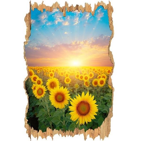 ■シール式のウォールステッカー です。■台紙から取り外し、簡単に貼っていただけます。■シールタイプですのでＤＩＹが初めてのお客様も楽しく安全に貼っていただけます。■シートサイズ 1枚あたり90cm×30cm■2枚入り1組■made in c...