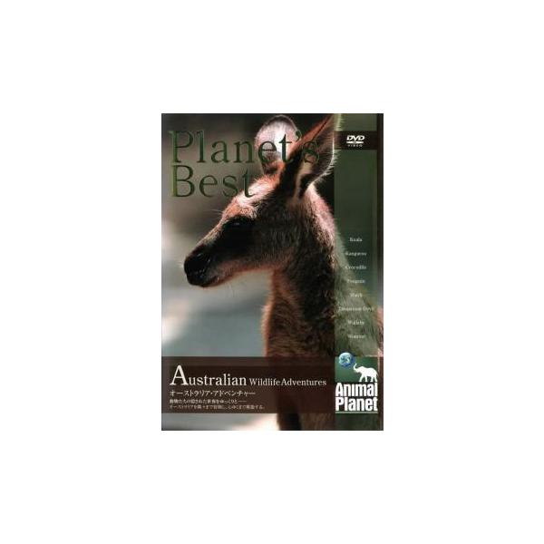 【バーゲン】 (ジャンル) 趣味、実用 動物 (入荷日) 2023-04-21