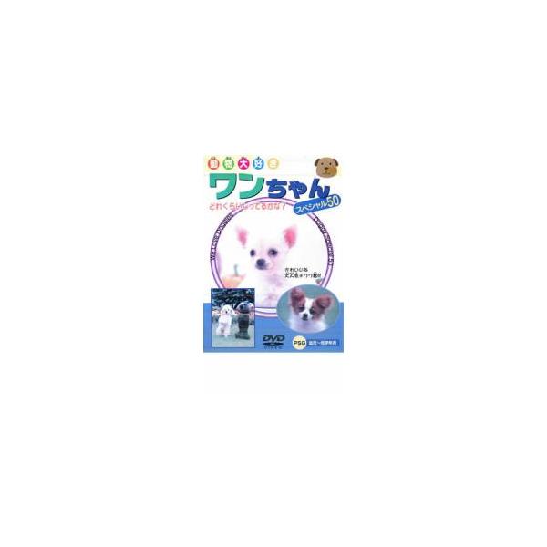 ワンちゃん スペシャル50 中古 DVD