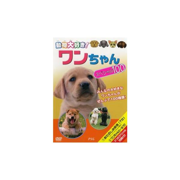 動物大好き!ワンちゃん スペシャル100 中古 DVD