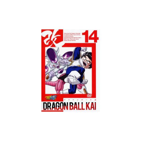 DVD ドラゴンボール改 魔人ブウ編 全20巻 ※ケース無し発送