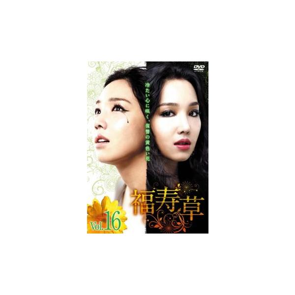福寿草 16(第46話〜第48話)【字幕】▽レンタル用 中古 DVD 韓国ドラマ