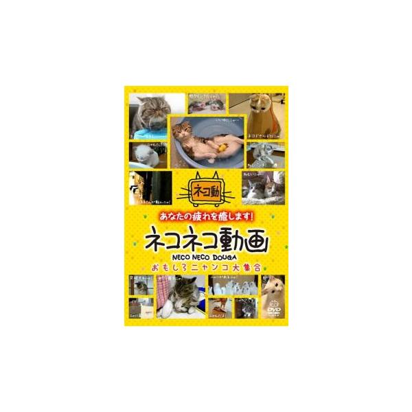【バーゲン】 (出演) 金沢麻衣(ナレーション) (ジャンル) 趣味、実用 動物 (入荷日) 2022-02-10