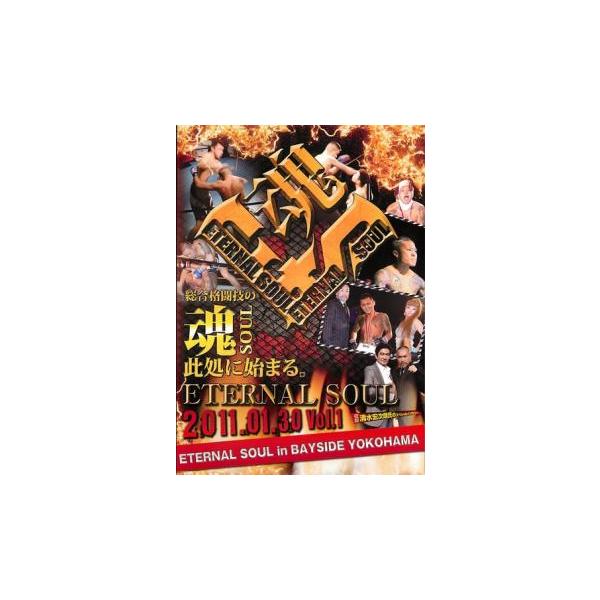 ETERNAL SOUL in BAY SIDE YOKOHAMA 1 レンタル落ち 中古 DVD