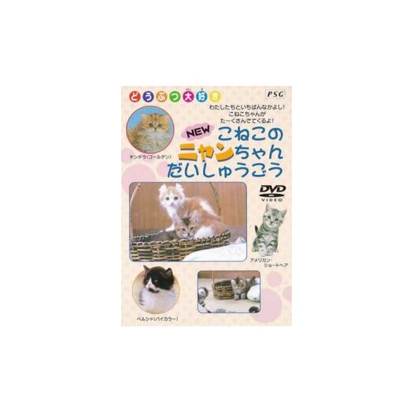 NEW こねこのニャンちゃん大集合 中古 DVD