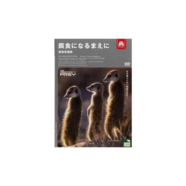 【バーゲン】 (ジャンル) 洋画 ドキュメンタリー (入荷日) 2018-11-04