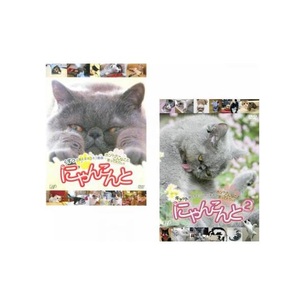 全2巻 【バーゲン】 (ジャンル) 趣味、実用 動物 (入荷日) 2022-08-31