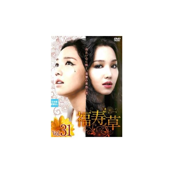 福寿草 31(第91話〜第93話)【字幕】 レンタル落ち 中古 DVD 韓国ドラマ