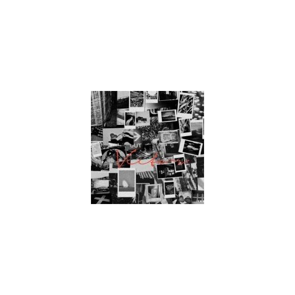 VECTOR 通常盤 レンタル落ち 中古 CD