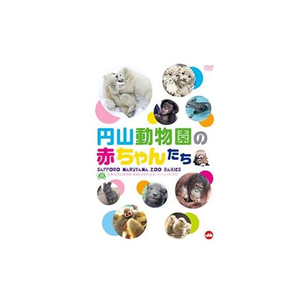 【バーゲン】 (ジャンル) 趣味、実用 動物 (入荷日) 2021-03-01