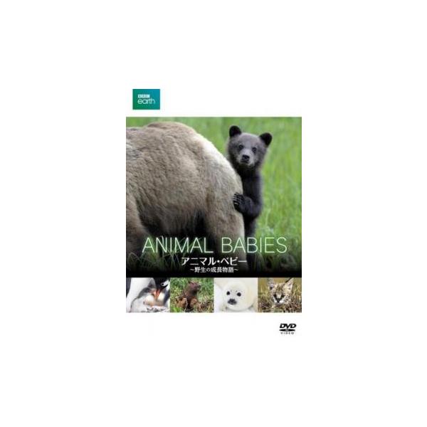 【バーゲン】 (出演) 樋口あかり (ジャンル) その他、ドキュメンタリー 動物 感動 (入荷日) 2024-08-07