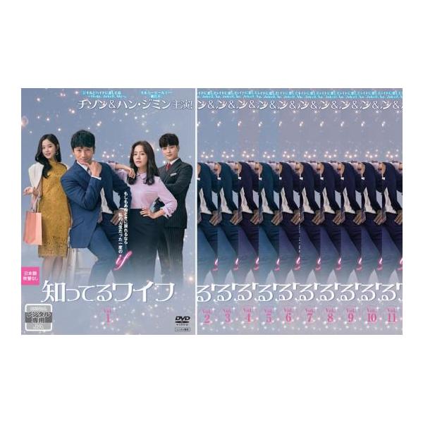 知ってるワイフ 日本編集版 全11枚 第1話〜第22話 最終【字幕