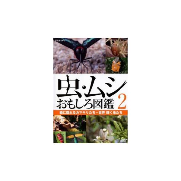 虫・ムシ おもしろ図鑑 2 森に隠れるカマキリたち 世界 輝く虫たち レンタル落ち 中古 DVD