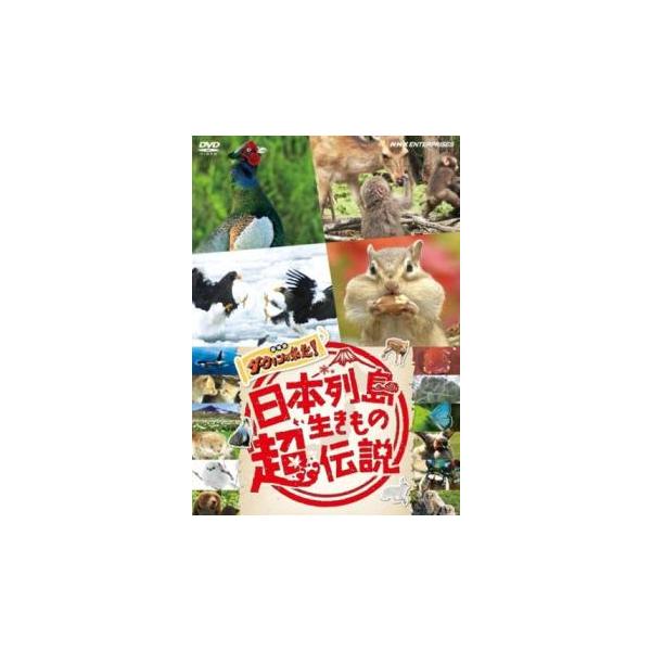【バーゲン】(監督) 久保嶋江実 (出演) こうちゃん、須貝駿貴、龍田直樹(ヒゲじい) (ジャンル) 邦画 動物 ドキュメンタリー (入荷日) 2025-07-24